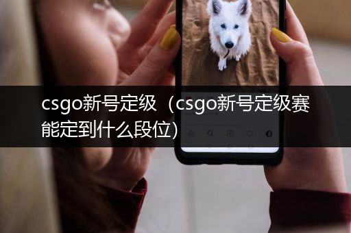 csgo新号定级（csgo新号定级赛能定到什么段位）