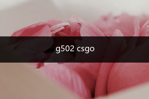 g502 csgo