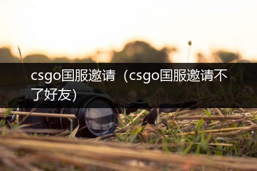 csgo国服邀请（csgo国服邀请不了好友）