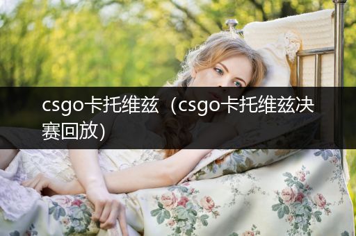 csgo卡托维兹（csgo卡托维兹决赛回放）