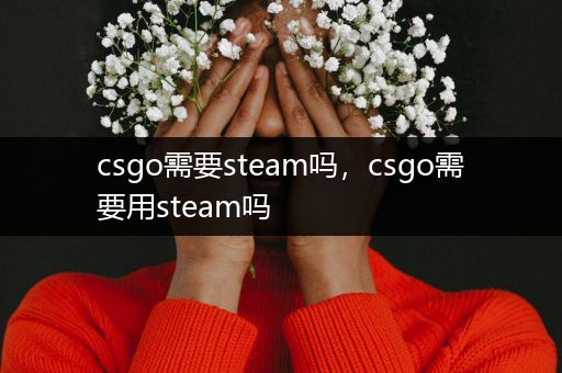 csgo需要steam吗，csgo需要用steam吗