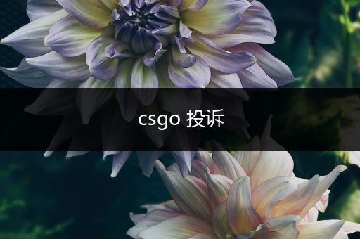 csgo 投诉