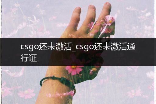 csgo还未激活_csgo还未激活通行证