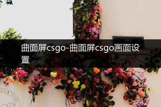 曲面屏csgo-曲面屏csgo画面设置