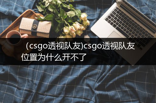 （csgo透视队友)csgo透视队友位置为什么开不了