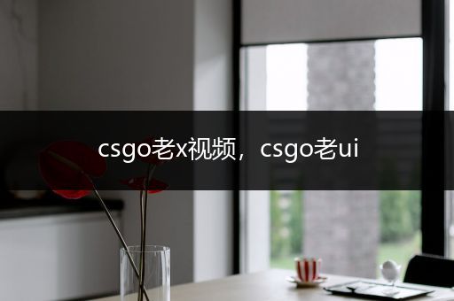 csgo老x视频，csgo老ui