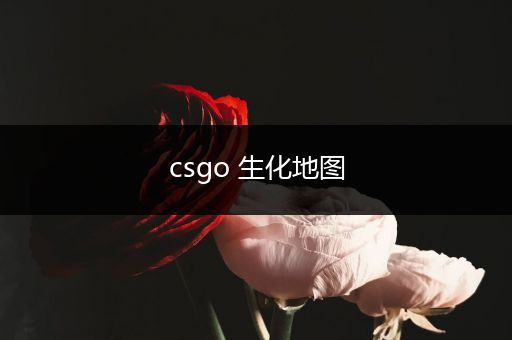 csgo 生化地图