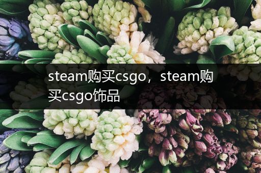 steam购买csgo，steam购买csgo饰品