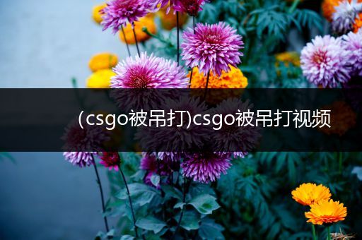 （csgo被吊打)csgo被吊打视频