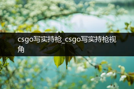 csgo写实持枪_csgo写实持枪视角