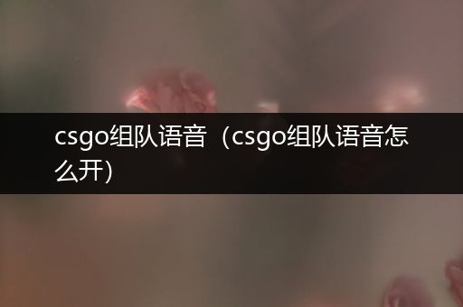 csgo组队语音（csgo组队语音怎么开）