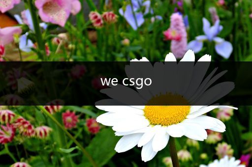 we csgo