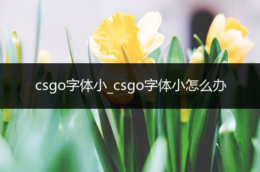 csgo字体小_csgo字体小怎么办