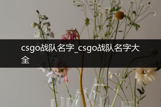 csgo战队名字_csgo战队名字大全