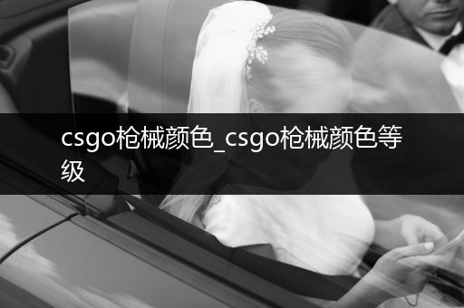 csgo枪械颜色_csgo枪械颜色等级