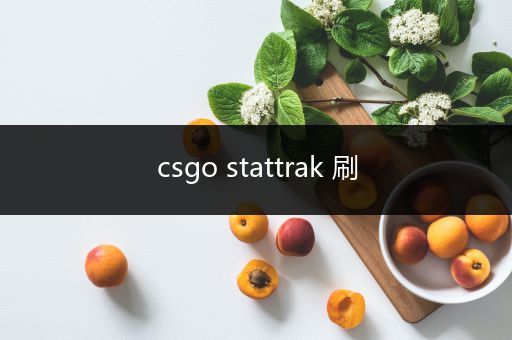 csgo stattrak 刷