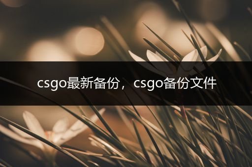 csgo最新备份，csgo备份文件