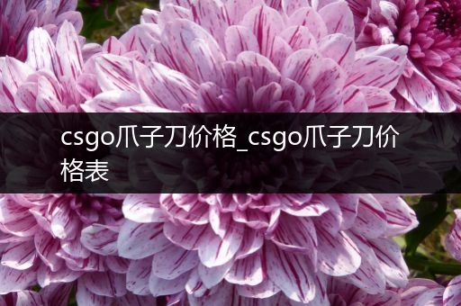 csgo爪子刀价格_csgo爪子刀价格表