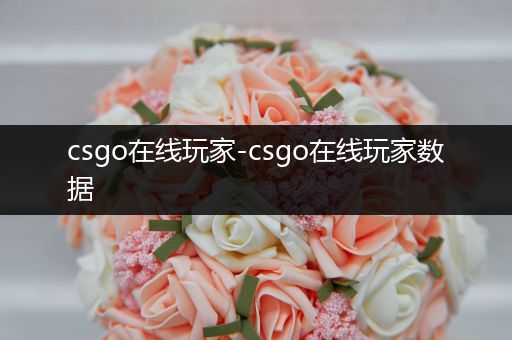 csgo在线玩家-csgo在线玩家数据