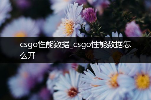 csgo性能数据_csgo性能数据怎么开