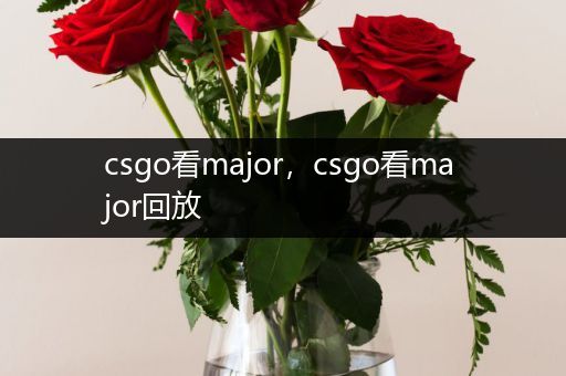 csgo看major，csgo看major回放