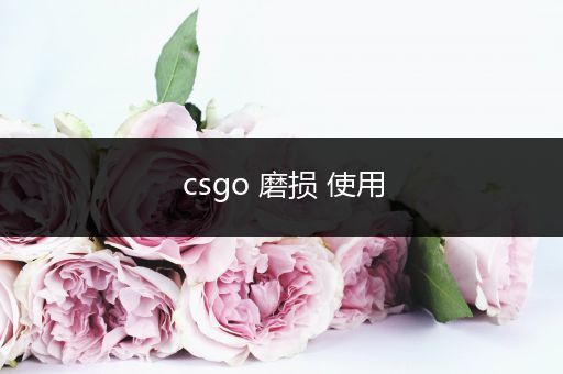 csgo 磨损 使用