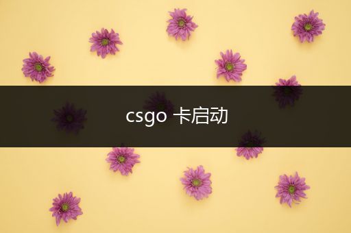 csgo 卡启动