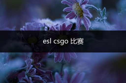 esl csgo 比赛