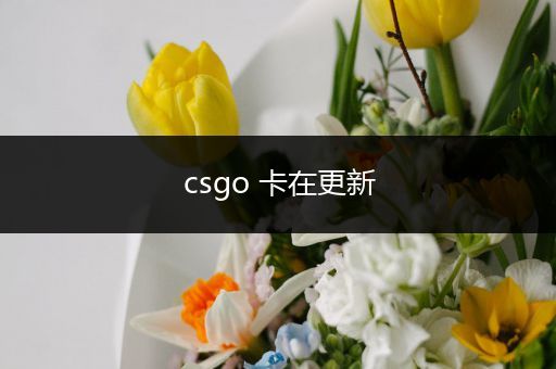 csgo 卡在更新