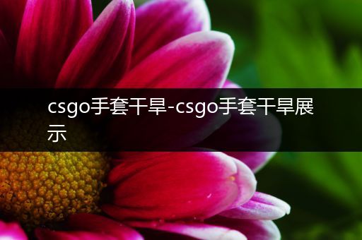 csgo手套干旱-csgo手套干旱展示