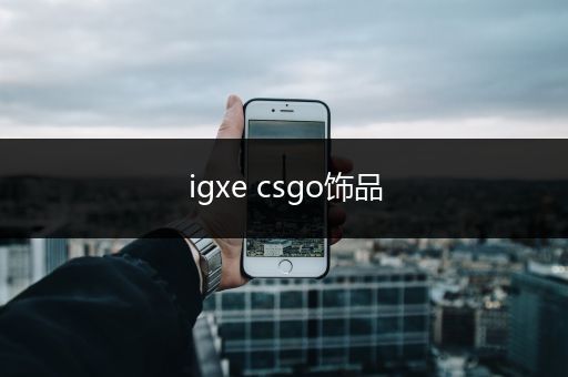 igxe csgo饰品