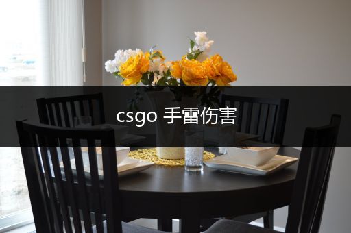 csgo 手雷伤害