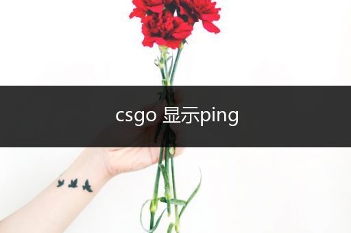 csgo 显示ping