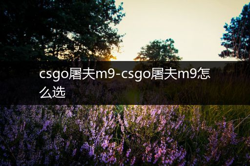 csgo屠夫m9-csgo屠夫m9怎么选