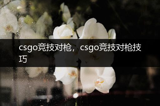 csgo竞技对枪，csgo竞技对枪技巧