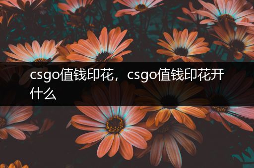 csgo值钱印花，csgo值钱印花开什么