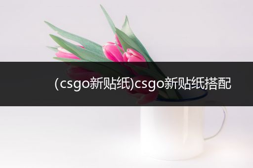 （csgo新贴纸)csgo新贴纸搭配