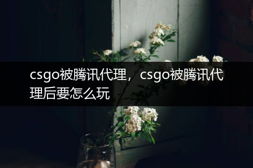 csgo被腾讯代理，csgo被腾讯代理后要怎么玩