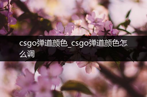 csgo弹道颜色_csgo弹道颜色怎么调