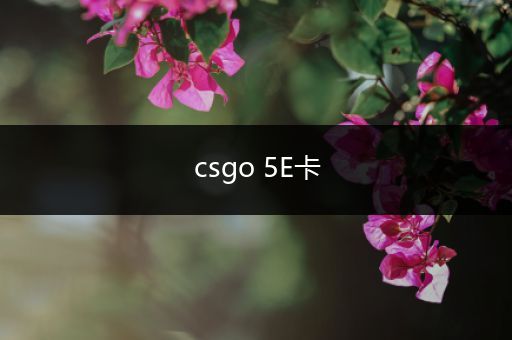 csgo 5E卡