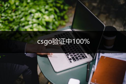 csgo验证中100%