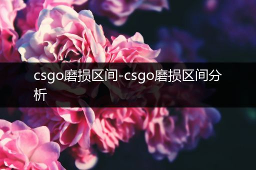 csgo磨损区间-csgo磨损区间分析