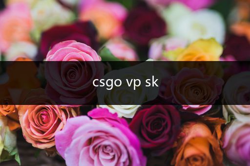 csgo vp sk