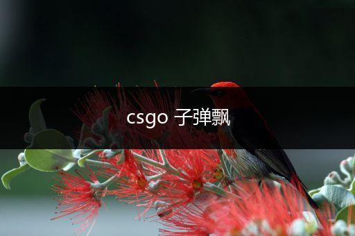 csgo 子弹飘