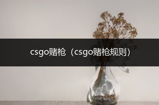 csgo赌枪（csgo赌枪规则）