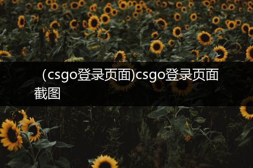 （csgo登录页面)csgo登录页面截图