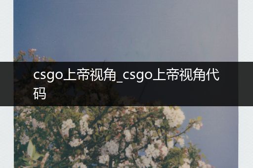 csgo上帝视角_csgo上帝视角代码