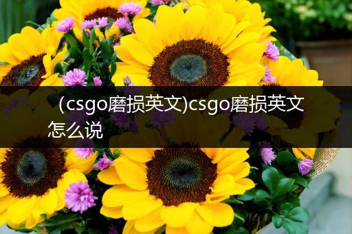 （csgo磨损英文)csgo磨损英文怎么说