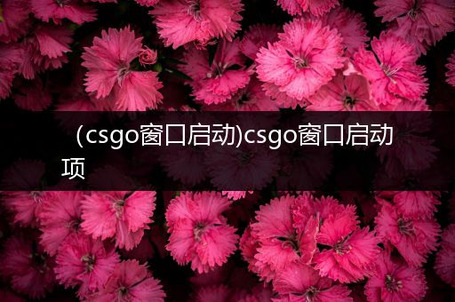 （csgo窗口启动)csgo窗口启动项