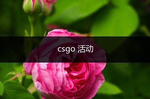 csgo 活动